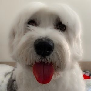 Meet your Posher, Sandra